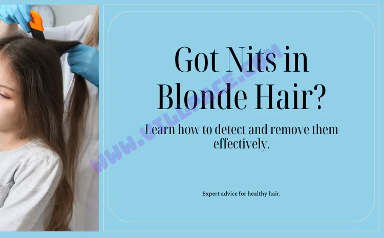 Nits in Blonde Hair