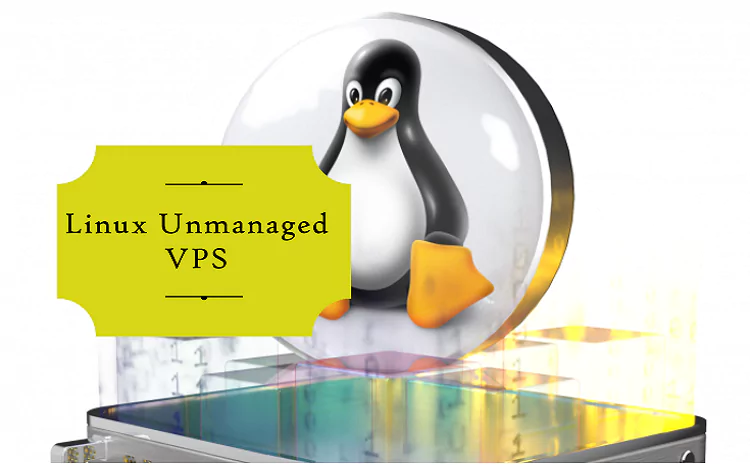 Linux Unmanaged VPS