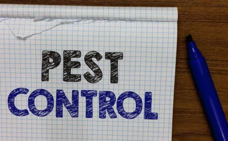 4 Common Pest Problems Faced by Absentee Owners and How to Solve Them