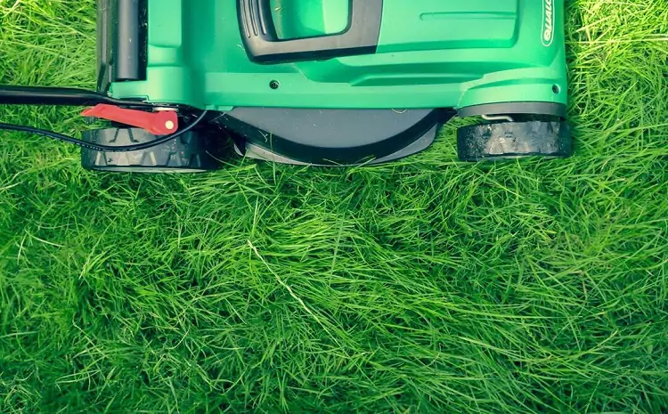 The 4 Benefits of Investing in Affordable Lawn Care Services