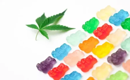 How to Incorporate CBD Chews into Your Daily Wellness Routine