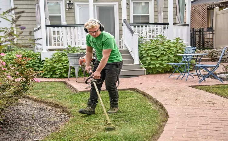 How to Find the Right Affordable Landscaping Services for Your Budget