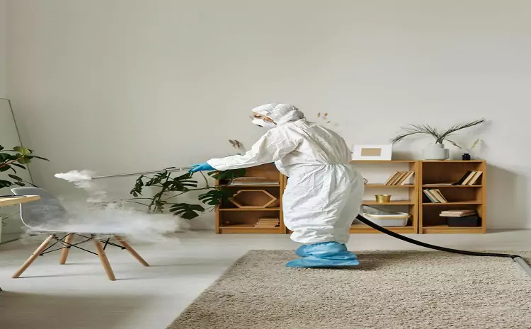 How to Choose the Right Fumigation Service for Your Needs