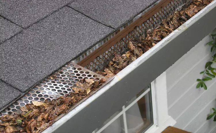 The Benefits of Hiring Professional Gutter Experts for Cleaning