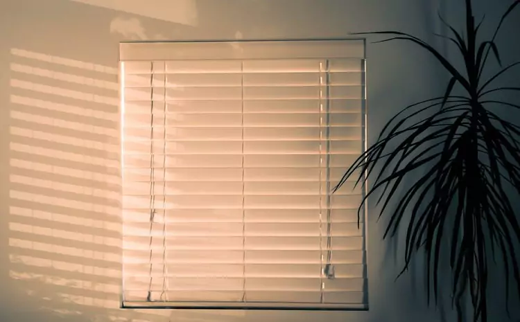 types of window shades