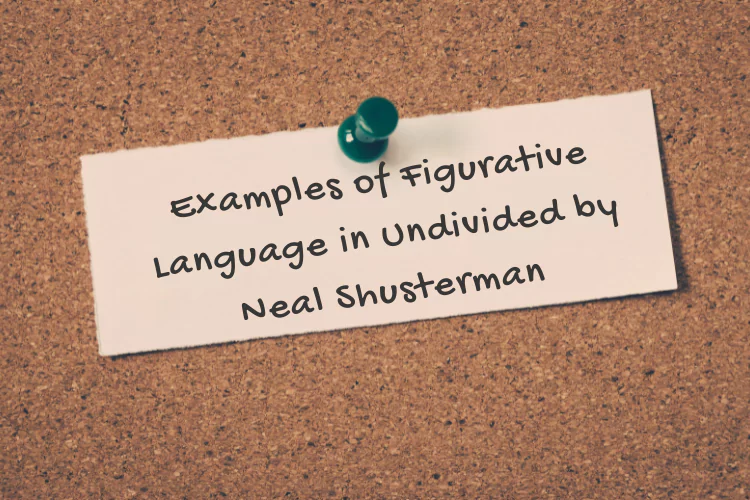 Examples of Figurative Language in Undivided by Neal Shusterman