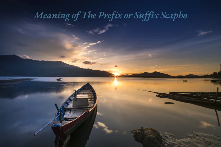 Meaning of The Prefix or Suffix Scapho​