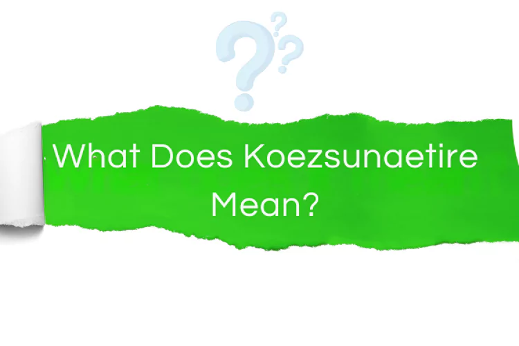 What Does Koezsunaetire Mean: Uncovering the Definition